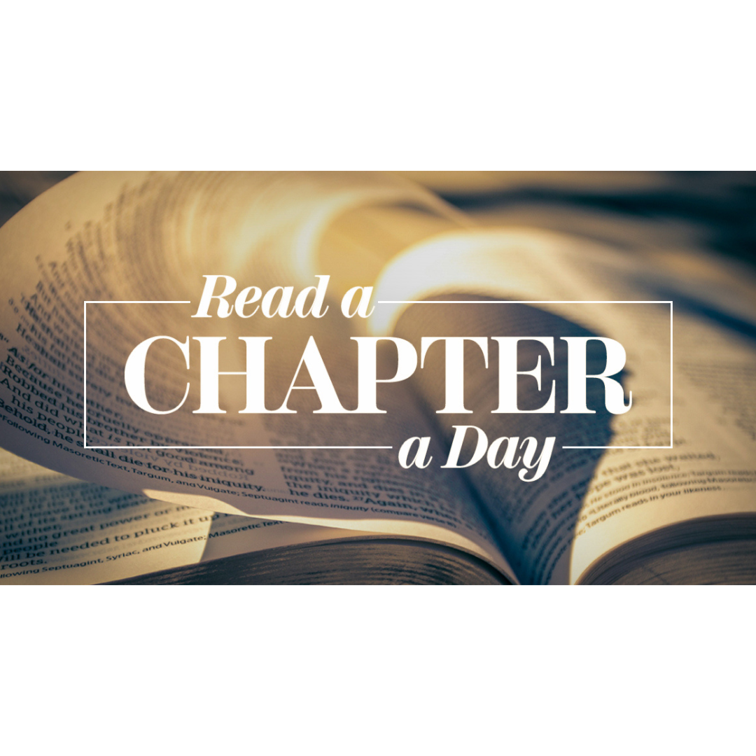 Chapter-A-Day Challenge 2025_website image